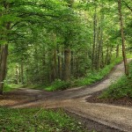At a Crossroads…