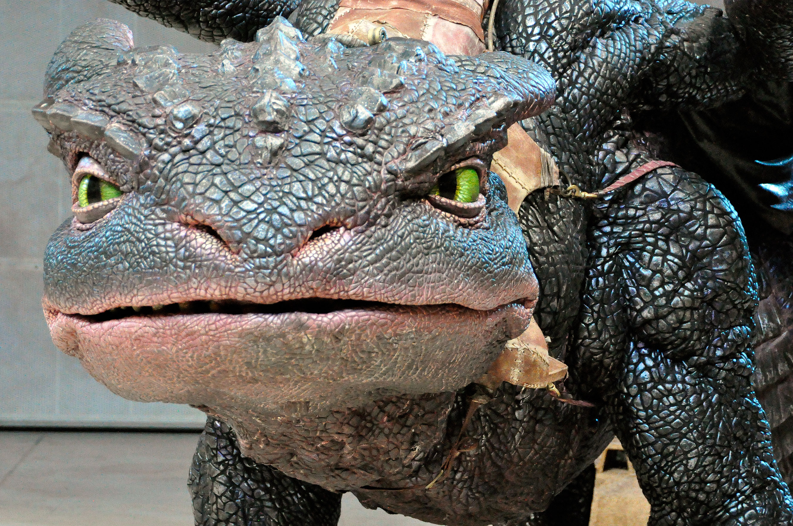 How To Train Your Dragon Live Spectacular Behind The Scenes Rockin Mama 