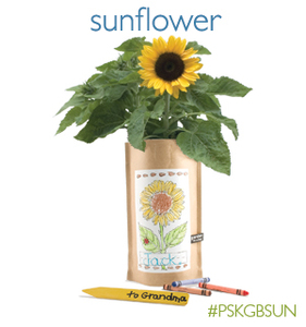 gr-gib-kids-sunflower