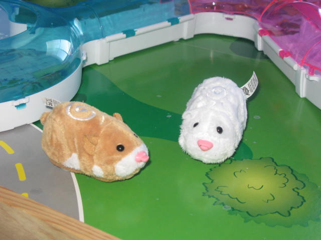 Zouzou pet hamster ♥ accessoires