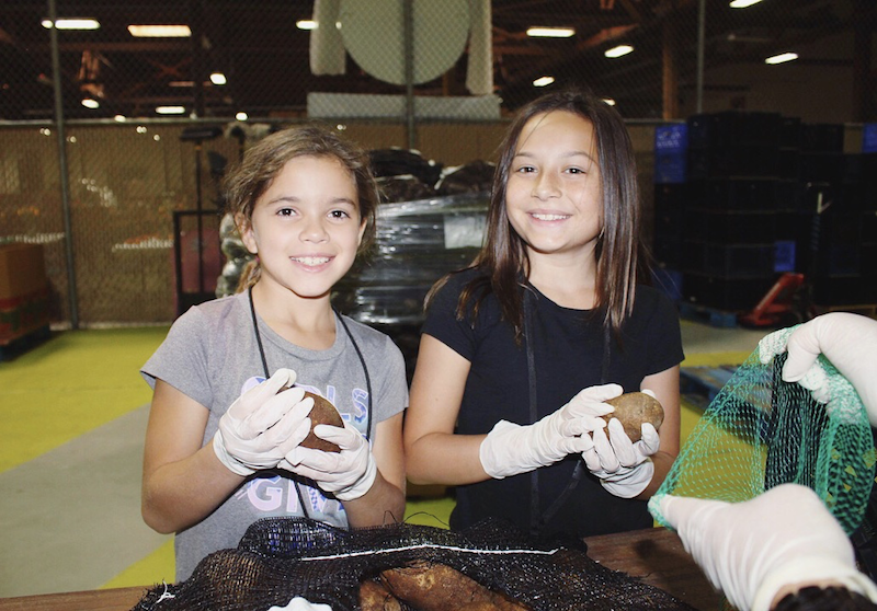 Junior Volunteers