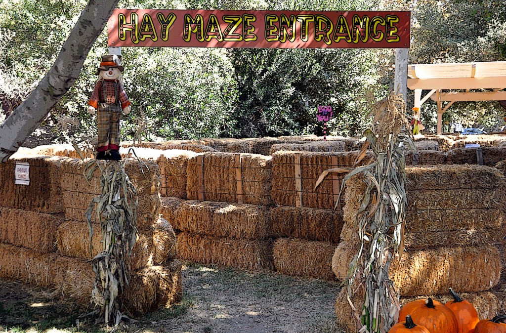 Hay Maze