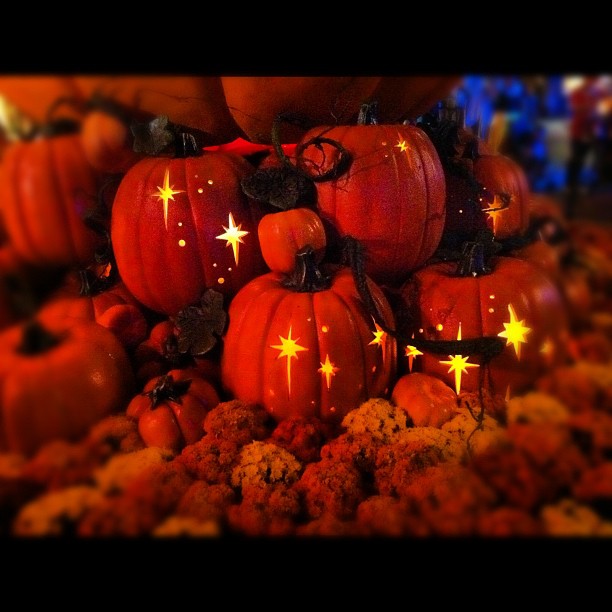 Pumpkins at Disneyland