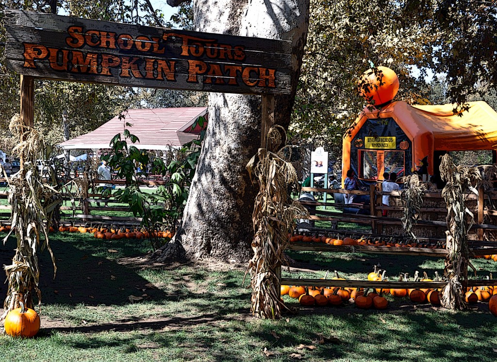 Pumpkin Patch at Irvine Park Railroad