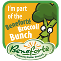 Beneforte Broccoli Bunch