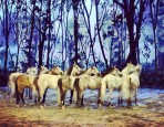 Cavalia Odysseo
