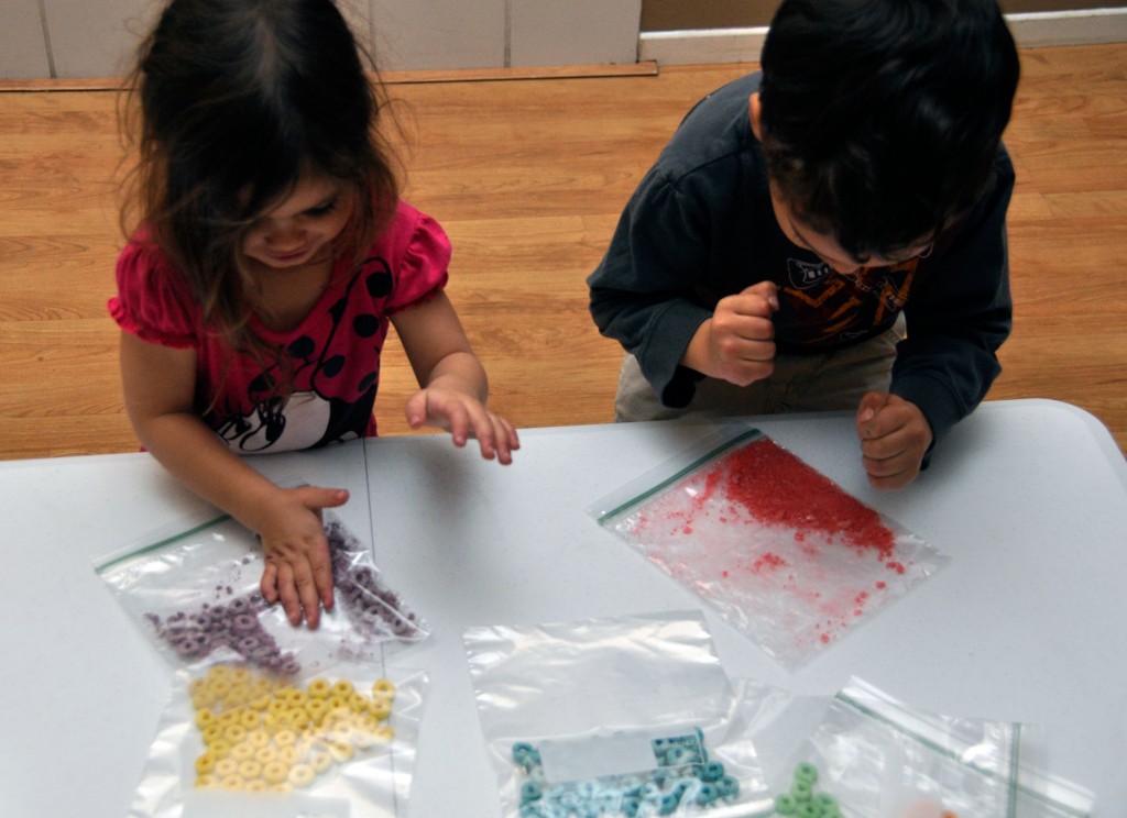 Froot Loops Craft