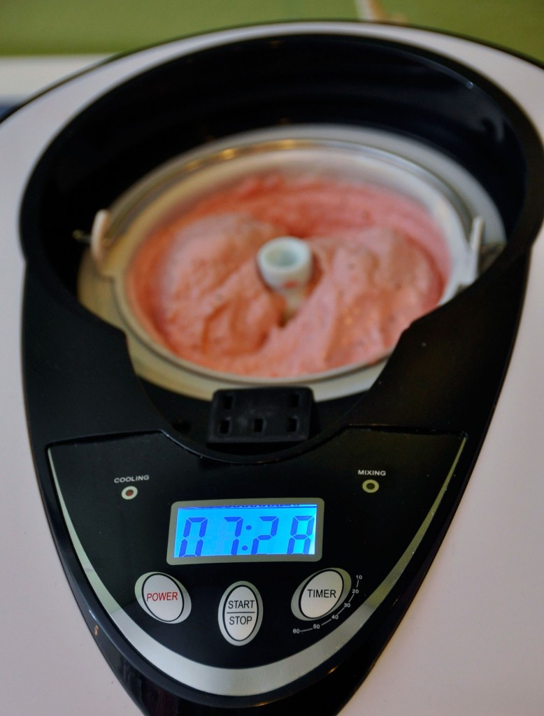 Ice Cream & Sorbet Maker