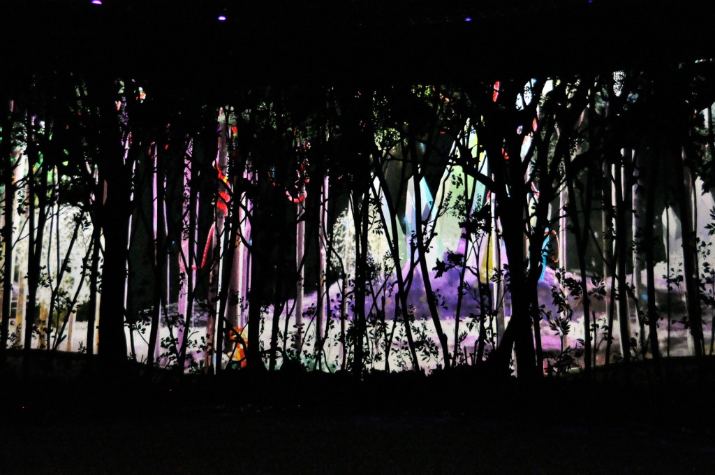 Cavalia Odysseo Curtain