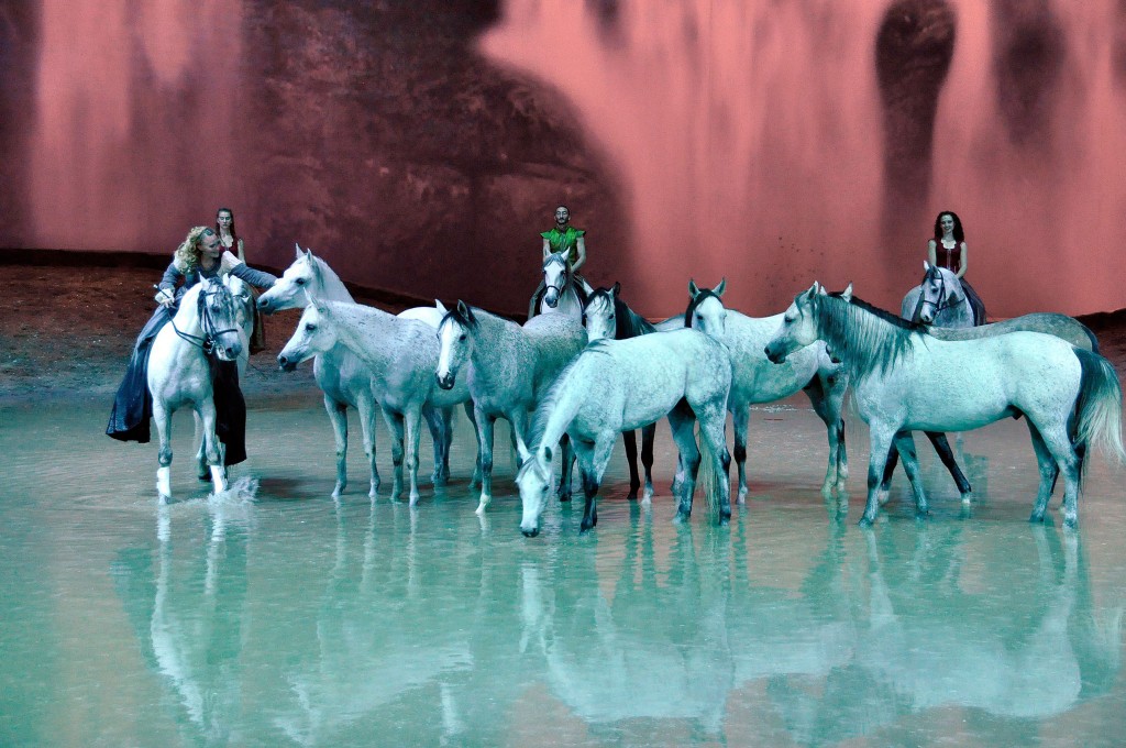 Cavalia Odysseo Horses