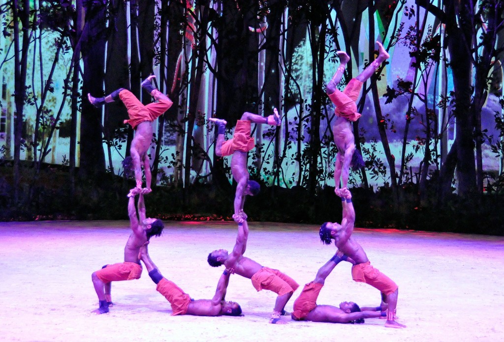 Cavalia Odysseo Performers