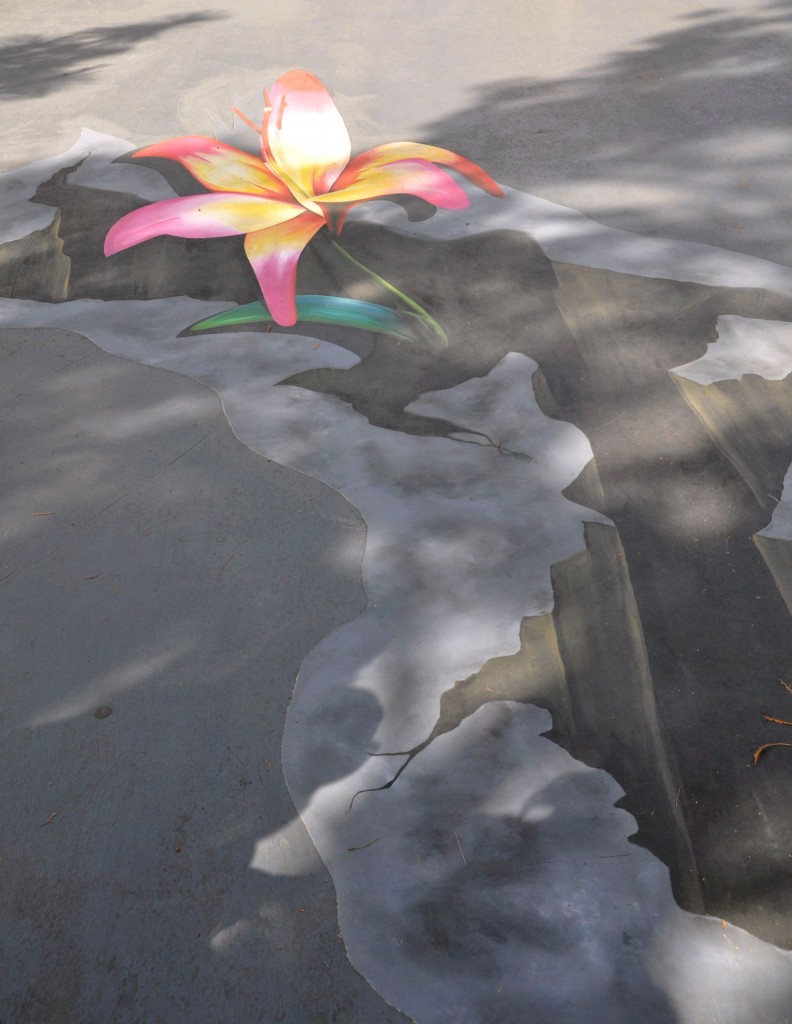 3D Chalk Art