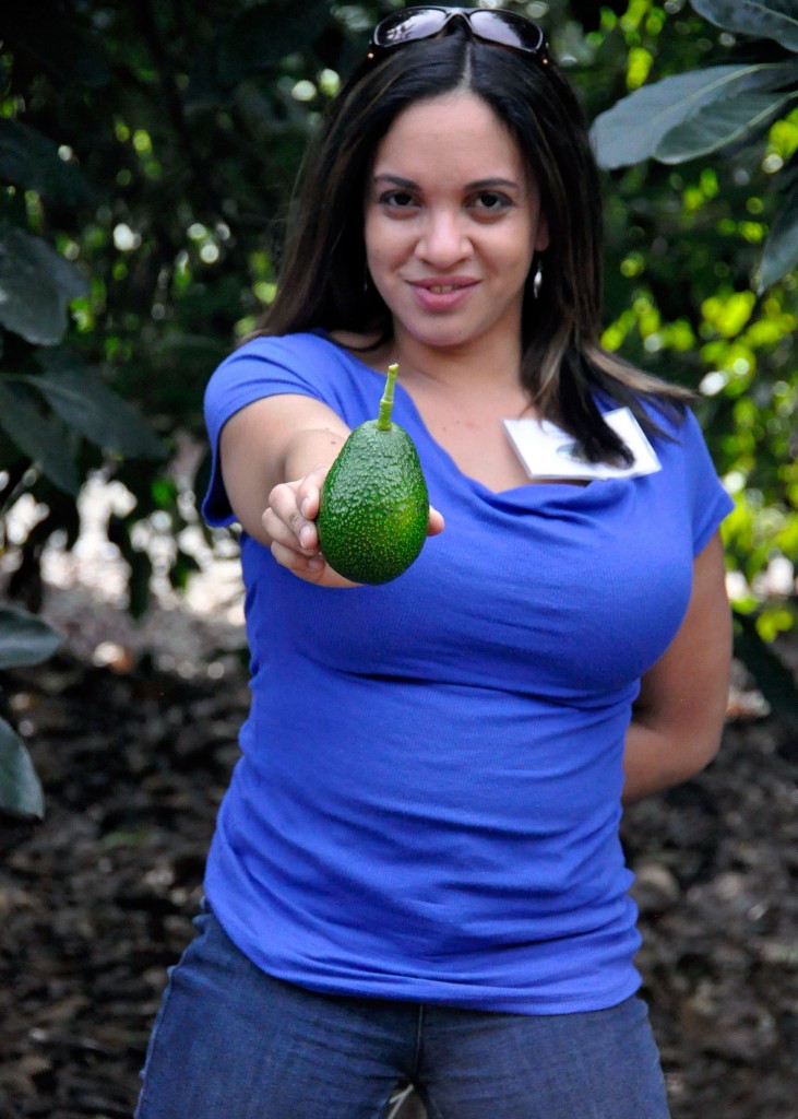 California Avocados