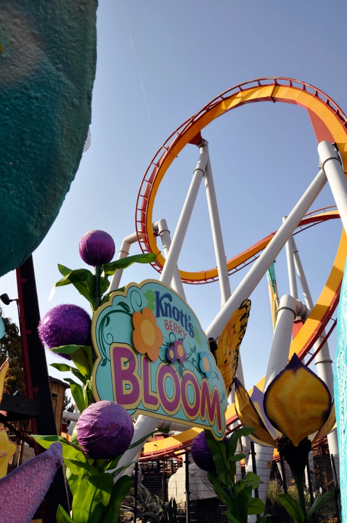 Knott's Berry Bloom