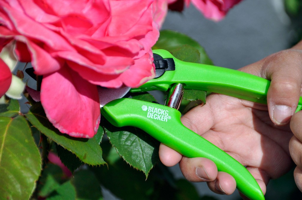 Black & Decker Introduces Funcional, Aesthetic Line of Gardening Tools -  Rockin Mama™