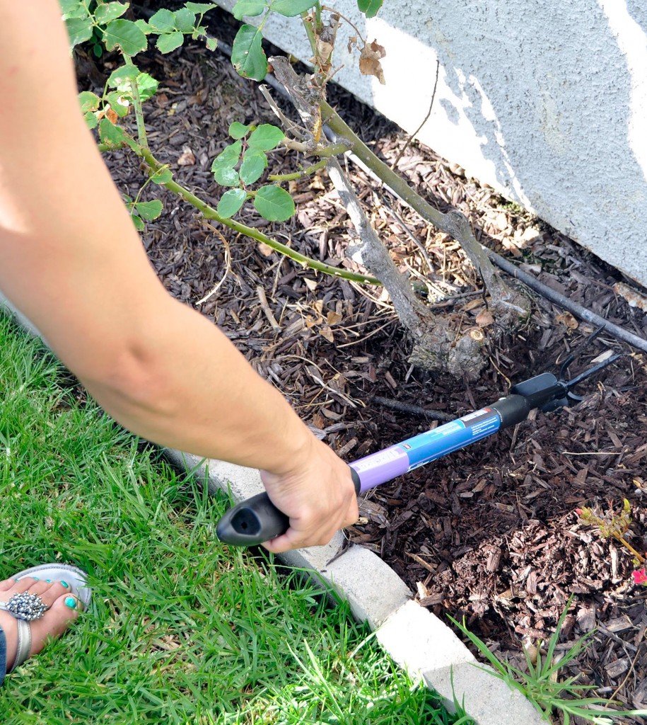 Black & Decker Introduces Funcional, Aesthetic Line of Gardening Tools -  Rockin Mama™