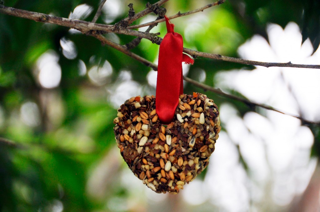 DIY Birdfeeder