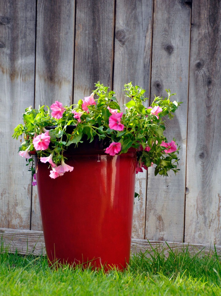 DIY Outdoor Planter From Better Homes and Gardens