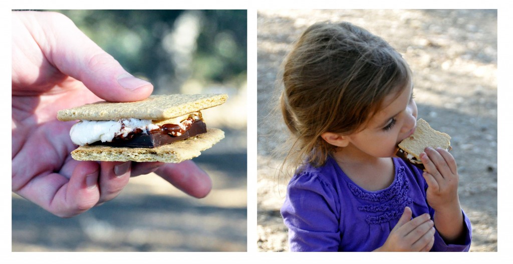 Roasting S'mores