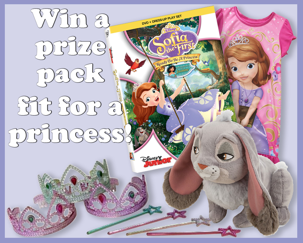 Sofia the First Prize Pack