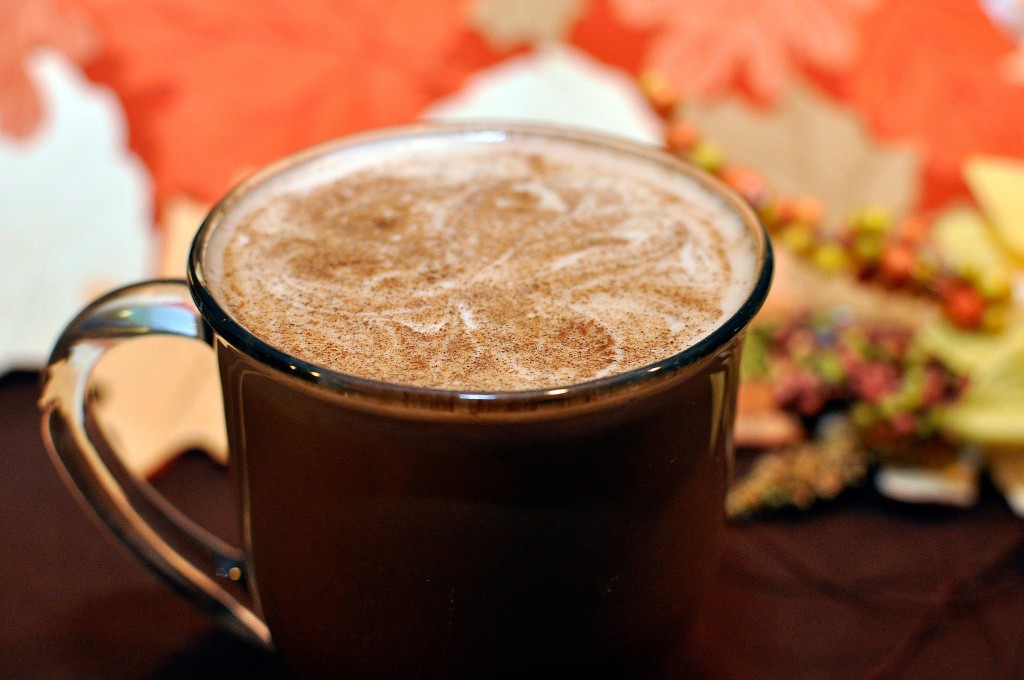 Cinnamon Spiced Mocha Latte Recipe