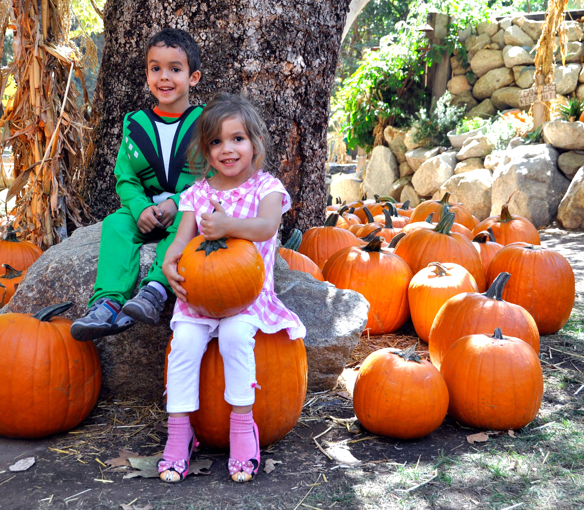 Best Activities for Families at the Irvine Park Railroad Pumpkin Patch Rockin Mama™