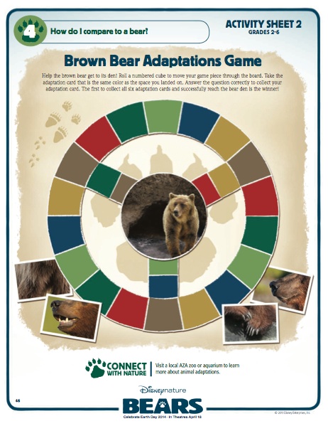Brown Bear Adaptations Game
