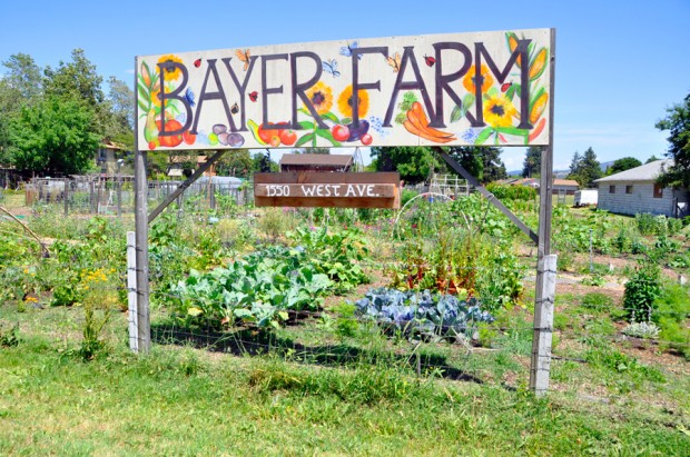 Bayer Farm