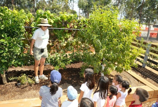 Children's Gardening Workshop