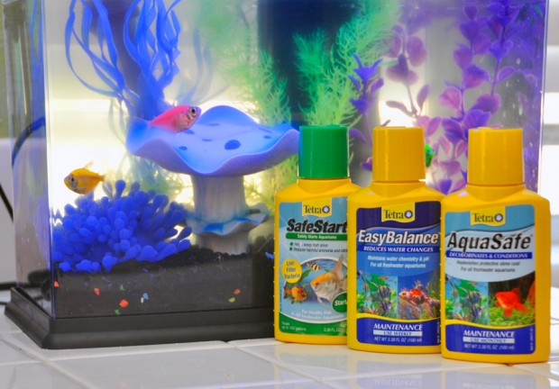 GloFish Starter Aquarium Kit