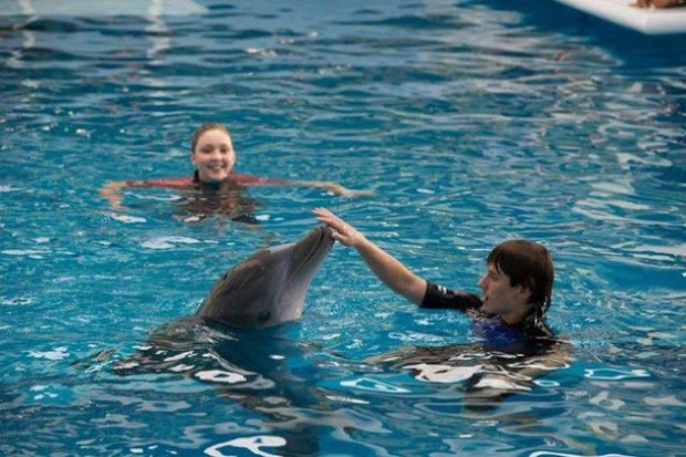 Sawer Hazel and Winter in Dolphin Tale 2
