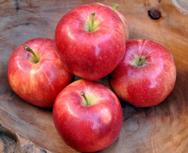 Gala Apples