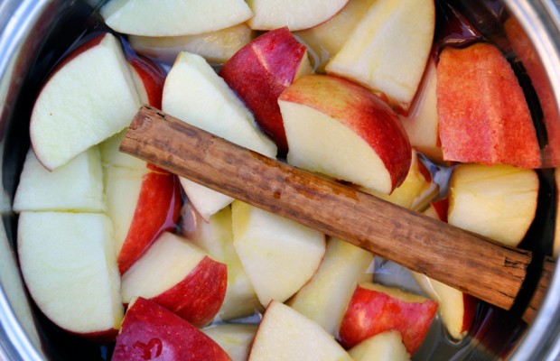 Ingredients for Homemade Applesauce