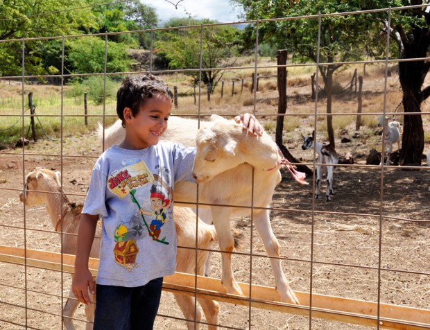 Surfing Goat Dairy