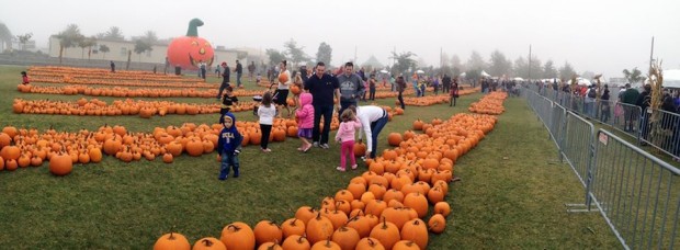 The Great Park Pumpkin Patch