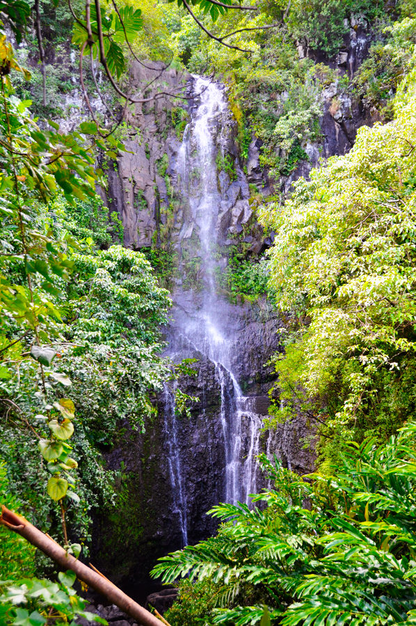 Waterfall Road to Hana