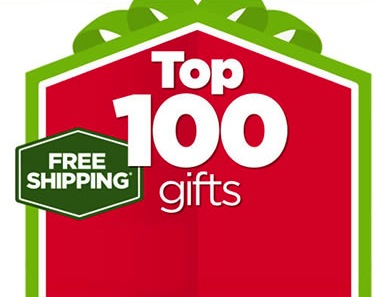 Top 100 Gifts