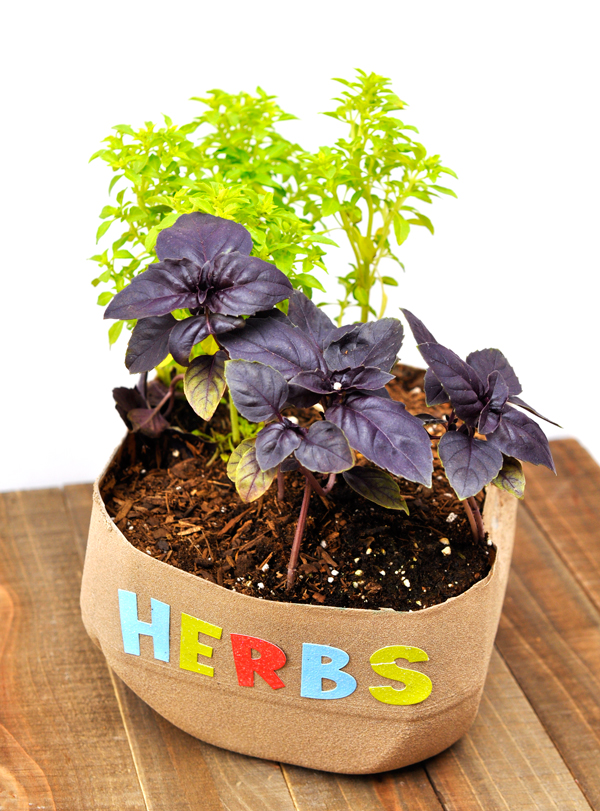 DIY Upcycled Herb Garden