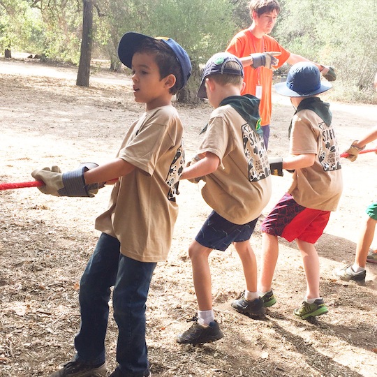 Tug of War