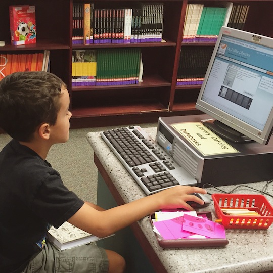 Public Library Computer