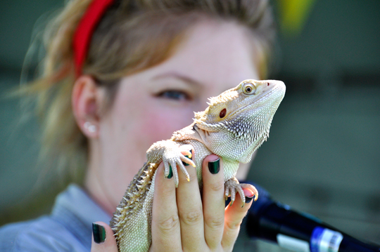 Reptile Zoo