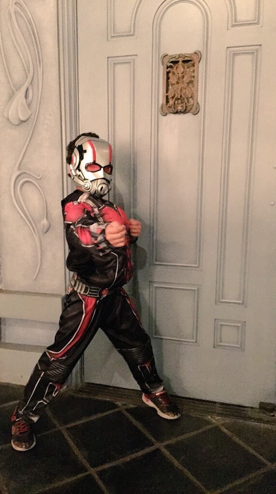 Ant-Man Costume