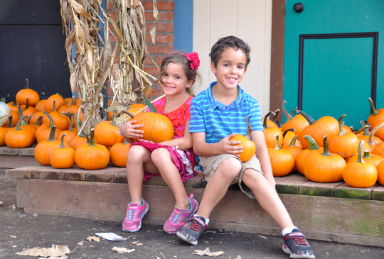 Pumpkins