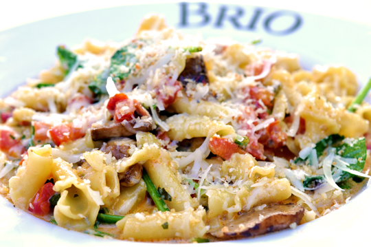Brio Italian Grille - Gorgonzola Cream Campanelle - Order Online