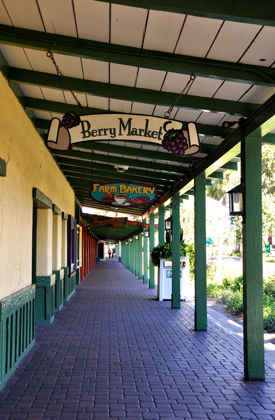Berry Market