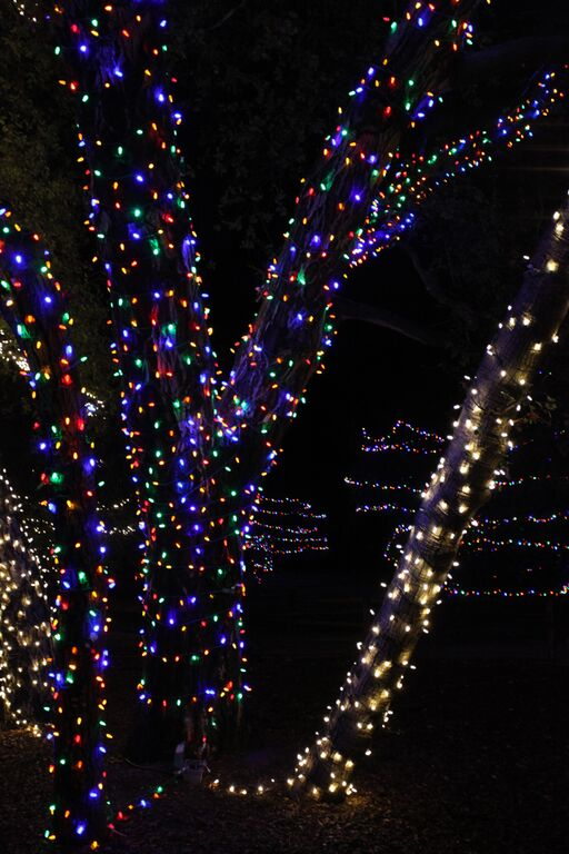 Christmas Lights at Irvine Park