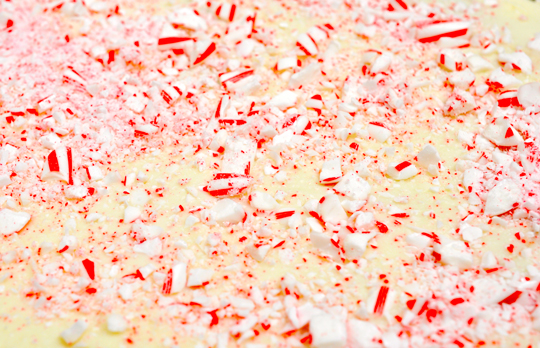 Candy Cane Bark