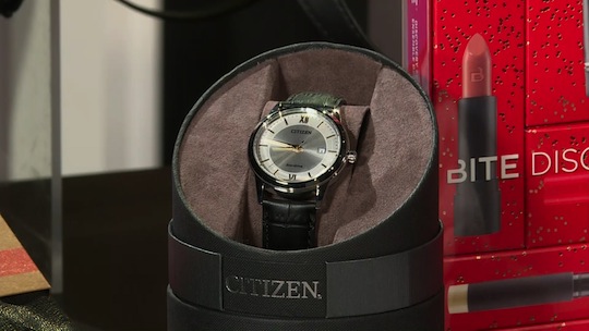 Citizen Echo Drive Leather Strap Watch