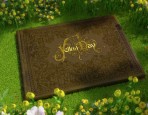 Yellow Day