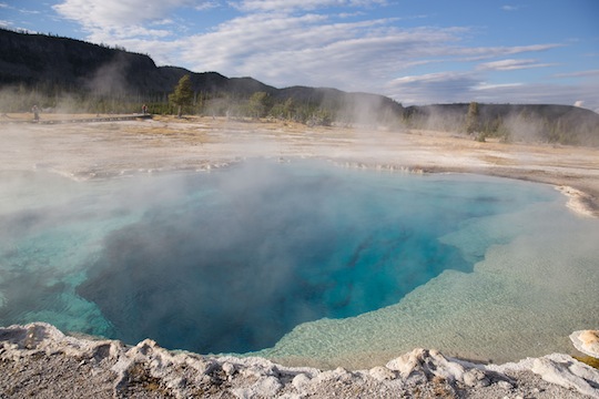 Geyser Yellowstone